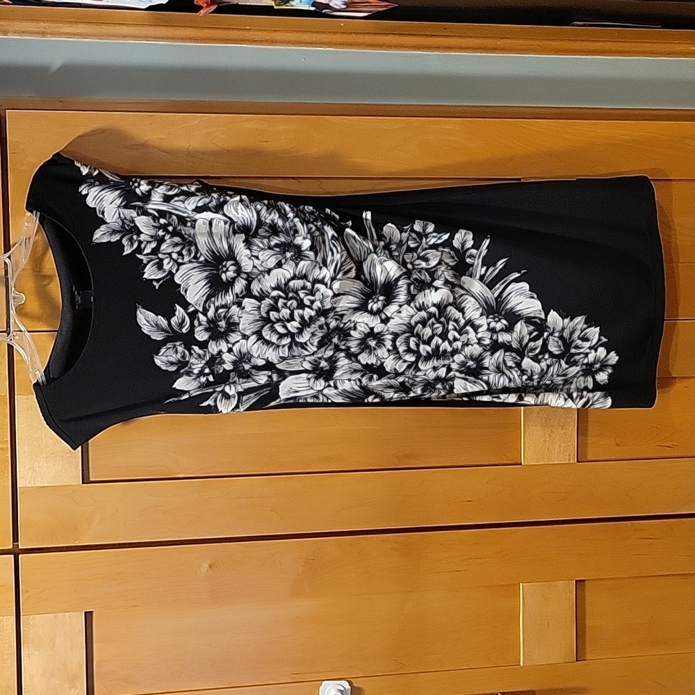 Ann Taylor Factory dress